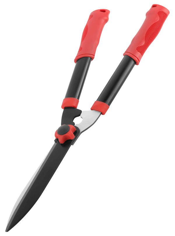 76287.png