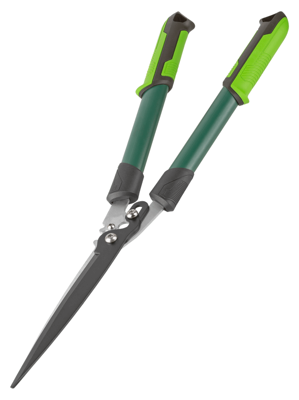 77110.png