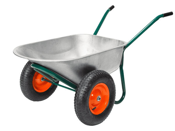 77557.png